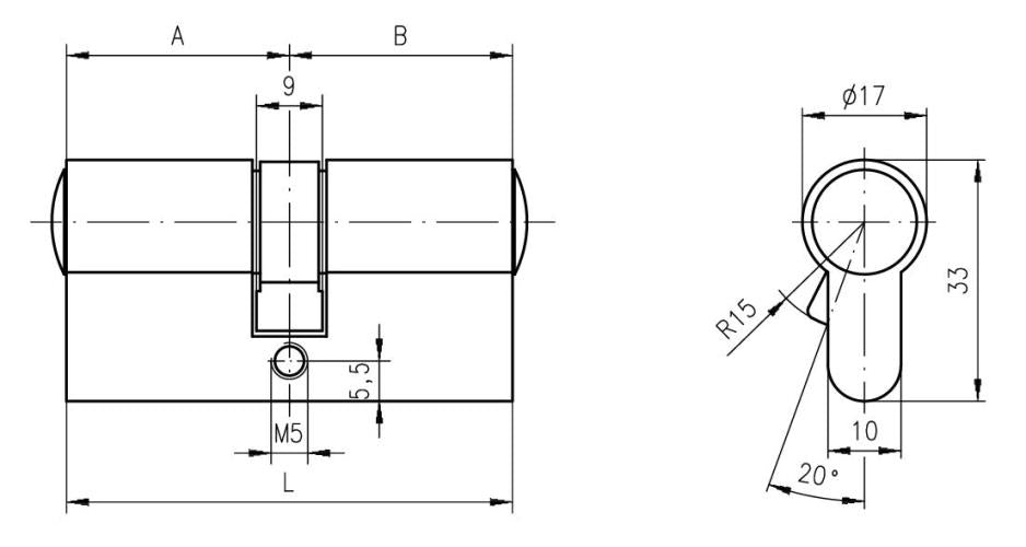 Doppelzylinder DOM ix Twido